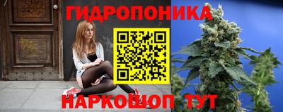 кокс Будённовск